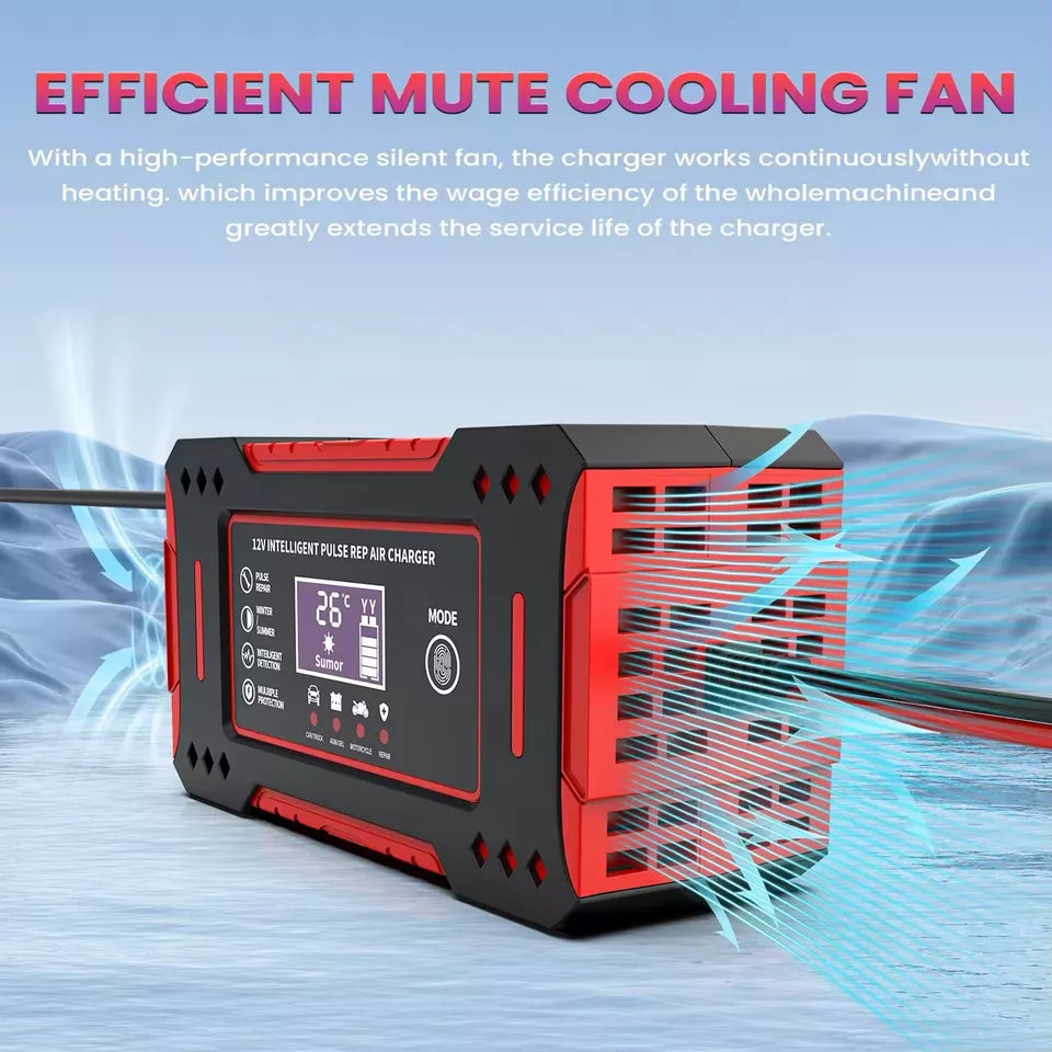 CARGADOR DE BATERIA INTELIGENTE 12 V