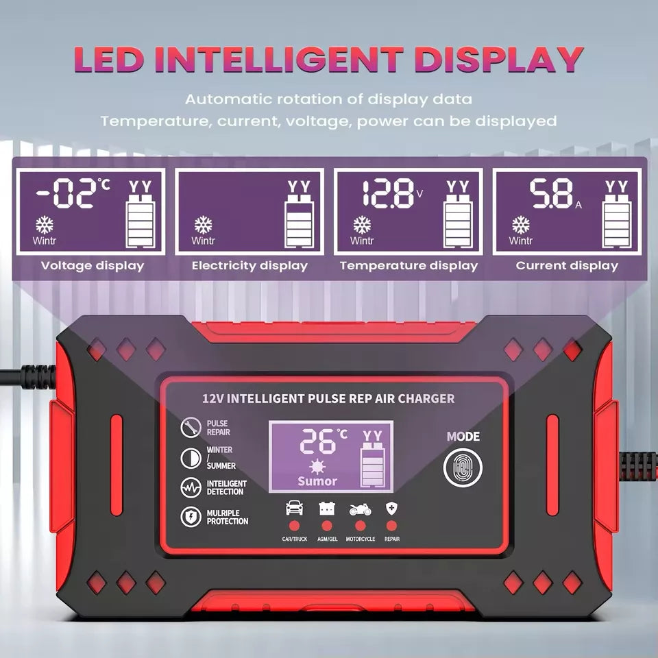 CARGADOR DE BATERIA INTELIGENTE 12 V