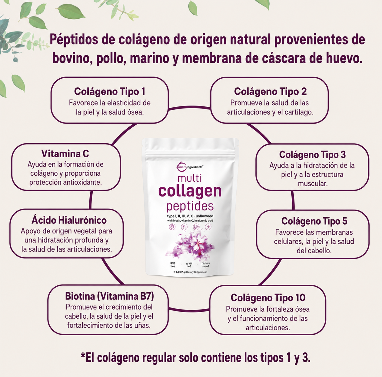 Multicolágeno en polvo