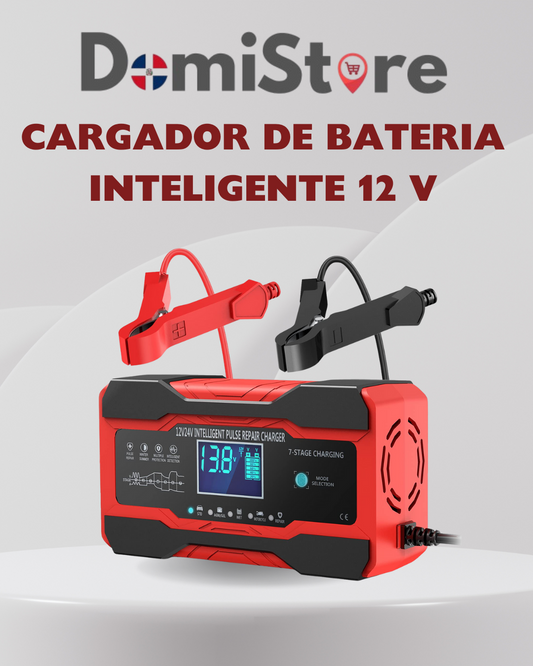 CARGADOR DE BATERIA INTELIGENTE 12 V