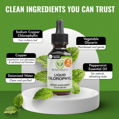 Clorofila Liquida