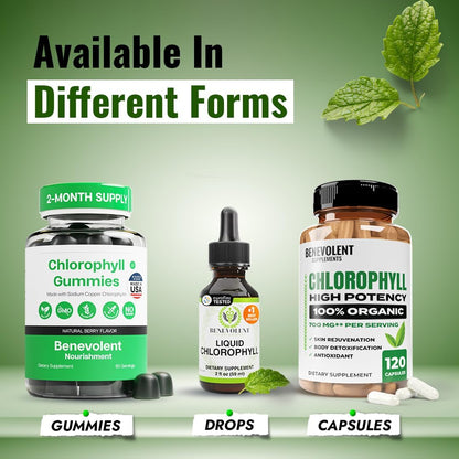 Clorofila Liquida